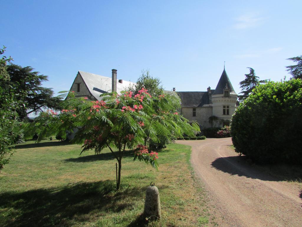 Bed and Breakfast Chateau De La Roche Martel Roiffé Exteriér fotografie